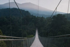 Explore Sukabumi! 5 Destinasi Wisata Alam dan Keluarga yang Bikin Jatuh Hati