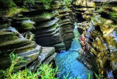 Melihat Pesona Alam Purworejo, 5 Destinasi Wisata yang Menyegarkan dan Cocok untuk Liburan Keluarga