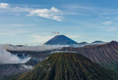 7 Pendaki Nekat Terobos Gunung Semeru, Kena Blacklist 5 Tahun!