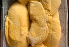 Viral di Medsos Durian Tembaga Menembus Pasar Nasional