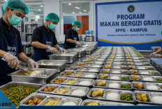 Pro-Kontra Program MBG di Kampus Memanas! Rektor UI: Jangan Sampai Geser Fungsi Utama Perguruan Tinggi