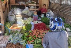 Jelang Lebaran, Segini Harga Sayur-Sayuran di Kabupaten Empat Lawang
