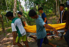 Ditemukan Istri di Kebun Karet