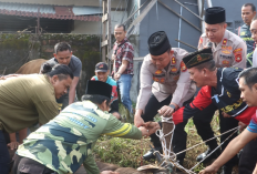 Kapolres Semblih Langsung Hewan Kurban