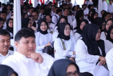 61 Ribu NIP CPNS dan PPPK 2024 Sudah Terbit, Ini Cara Cek Lewat MOLA BKN