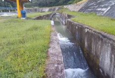 Air Irigasi Lematang Kembali Aliri Sawah Pagaralam