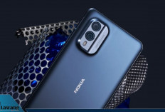 Daftar Smartphone Nokia 2025: Lengkap dari yang Termahal hingga Termurah, Cocok untuk Semua Kalangan!