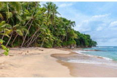 Pesona Tersembunyi di Ujung NTT! Pantai Litianak, Surga Tersembunyi yang Wajib Dikunjungi