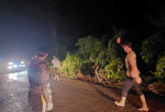 Longsor di Desa Rantau Dodor, Polsek Pendopo Cepat Tanggap