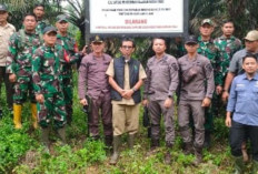 Ambil Alih Ratusan Hektar Lahan Perkebunan Ilegal