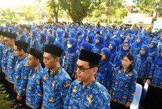 CPNS dan PPPK 2024 Segera Resmi Jadi ASN, Ini Tahapan Akhirnya