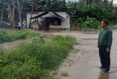 65 Hektare Sawah Terancam Gagal Panen