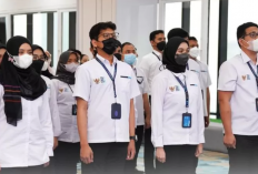 Rekrutmen BUMN 2025: Jadwal, Syarat, dan Tahapan Seleksi