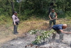 Hotspot Karhutla Kembali Terdeteksi di Empat Lawang