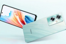 Cari HP OPPO 2025? Ini Daftarnya, Mulai yang Murah Sampai Flagship!