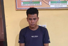 Transaksi Ganja di Bengkulu, Warga Paiker Dibekuk Polisi