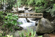 Curug Putri Kencana, Surga Tersembunyi di Bogor yang Wajib Dikunjungi!