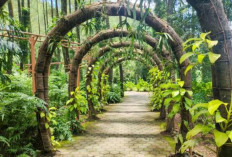 Taman Kemesraan Malang: Destinasi Romantis di Tengah Alam yang Menawan
