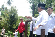Cepat Tanggap Bupati Lahat Tinjau Irigasi di Tanjung Payang