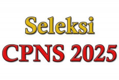 CPNS 2025 Kembali Dibuka? Ini Bocoran Jadwal dan Formasi yang Harus Kamu Tahu!