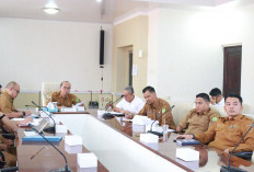 Pemkab Muba Dukung Percepatan Listrik Perdesaan