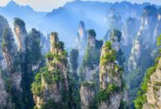 Zhangjiajie National Forest Park: Keajaiban Alam di Tiongkok