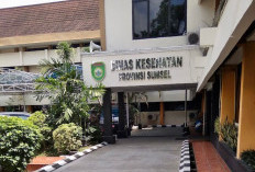 Per Januari 2025 Ada 4 yang Meninggal Akibat Terjangkit DBD