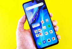 Panduan Memilih HP Sesuai Kebutuhan di Tengah Banyaknya Pilihan Smartphone