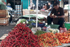 Harga Cabai Masih Melambung