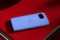 Skor Kamera Pixel 10a di DxOMark Lebih Rendah dari Pixel 8a, Ekspektasi Pengguna Tak Terpenuhi