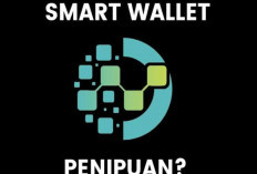 Terbongkar!, Ini Cara Kerja Aplikasi Investasi Smart Wallet Diduga Scam