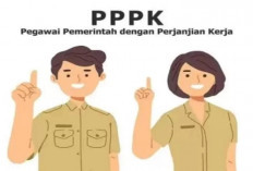 PPPK Paruh Waktu: Peluang Baru dan Jaminan Gaji Layak untuk Tenaga Honorer di 2025