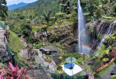 Rekomendasi Wisata Populer di Purwokerto yang Wajib Kamu Kunjungi