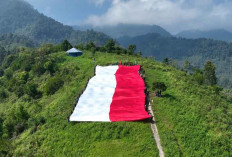 Alam Dukung Pengembangan Olahraga Panjat Tebing