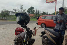 Potensi Pohon Tumbang dan Longsor di Jalur Arus Balik Sumsel