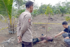 Warga Kelumpang Jaya Digegerkan Penemuan Mayat