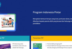 Cara Cek Penerima PIP 2025 SD, Catat Ketentuan Aktivasi Rekening Juga!