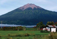 Menikmati Petualangan Alam di Jambi, 8 Destinasi Wisata Alam yang Harus Dikunjungi