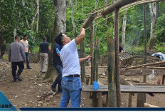 Diduga Arena Judi Sabung Ayam, Polsek Tebing Tinggi Gerak Cepat 