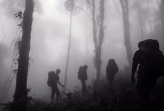 Pendakian Mencekam di Gunung Prau: Suara Gending Jawa & Penampakan Sosok Seram!