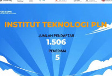 Mau Kuliah Gratis? Beasiswa IT PLN 2025 Resmi Dibuka, Cek Syarat dan Cara Daftarnya!