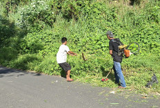 Lintang Kanan Gelar Gotong Royong 'Tebas Bayang'