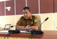 Investasi Sumsel Tembus Rp49,82 Triliun