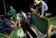 Satgas Polda Sumsel Bongkar Penimbunan 82.000 KL Solar Ilegal di Banyuasin