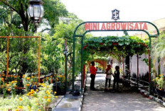 5 Rekomendasi Wisata Edukasi di Surabaya