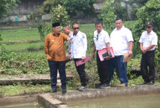 Dorong Revitalisasi Sektor Perikanan