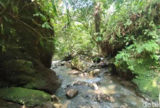 Keindahan Curug Panganten yang Sulit Dilupakan, Namun Sayang Kini Ditutup Sementara 