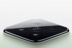 Xiaomi 15: Compact Imut, Performa Monster! Lebih Ganas dari Xiaomi 14?