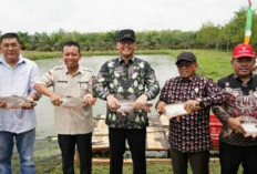 Penghasil Ikan Patin Terbesar Kedua di Sumsel