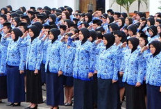 Aturan Baru Pemakaian Seragam ASN dan PPPK 2025 Resmi Ditetapkan oleh Mendagri